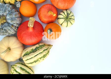 Zucche e squash varietà cibo sfondo Foto Stock