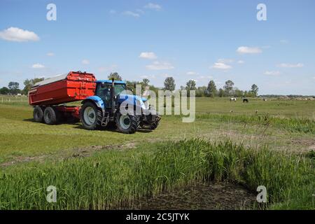 Paesaggio pascolo. Trattore blu con un rimorchio rosso accoppiato nel prato vicino al villaggio olandese di Bergen. Molla. Foto Stock