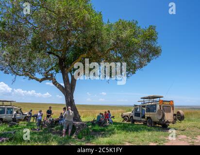 Veicoli Safari sotto un albero con persone che hanno un pranzo al sacco, triangolo Mara, Masai Mara National Reserve, Kenya, Africa Foto Stock