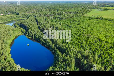 Vista aerea da un drone di un lago in una foresta Foto Stock
