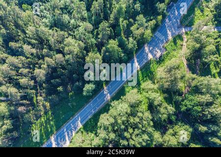 Vista aerea del drone della foresta verde. Strada in foresta dall'alto. Foto Stock