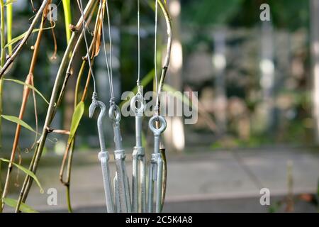 Tenditori multipli regolabili visti con fili metallici, utilizzati per facilitare la corretta crescita di giovani, bambù e altre piante in un giardino botanico. Foto Stock