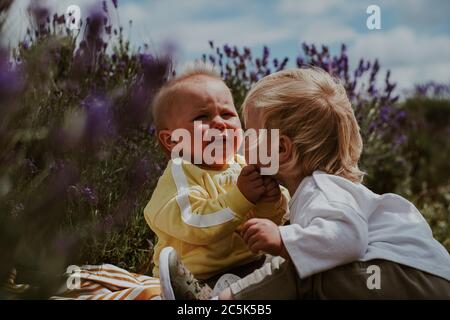 Due bambini al campo di Lavanda, Regno Unito Foto Stock