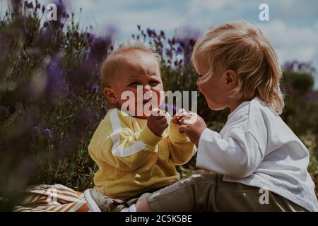 Due bambini al campo di Lavanda, Regno Unito Foto Stock