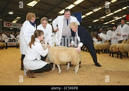 Il primo ministro Boris Johnson alla fiera invernale reale del Galles il 25 novembre 2019. Boris Johnson ritrae una pecora nell'anello delle pecore allo Showground Foto Stock