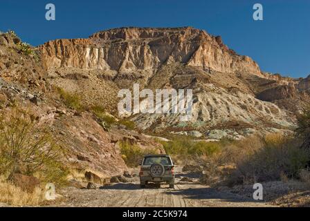 Jeep strada in zona di Three Dyke Hill a Bofecillos Mountains, Chihuahuan Desert, nel Big Bend Ranch state Park, Texas, Stati Uniti Foto Stock