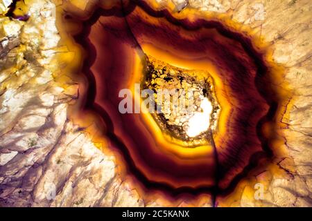 Foto macro di una fetta colorata di agata viola e gialla. L'ho illuminato dal basso per far rischiare le texture minerali e i colori del cristallo. Foto Stock