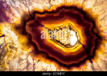 Foto macro di una fetta colorata di agata viola e gialla. L'ho illuminato dal basso per far rischiare le texture minerali e i colori del cristallo. Foto Stock