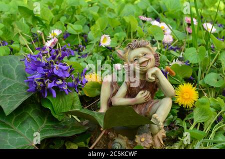 Bouquet di violette profumate con foglie di Ivy e bambola di elfo su un prato Foto Stock