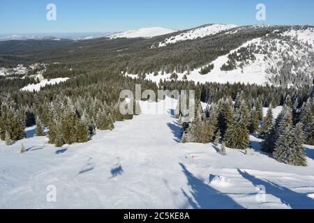 Slki segnati in rosso, si inclina attraverso la foresta di abeti e molte altre piste e vette in lontananza Foto Stock