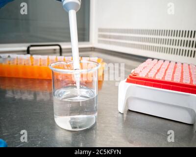 Tecnico di laboratorio che utilizza una pipetta elettronica. Concetti di ricercatore e laboratorio. Foto Stock