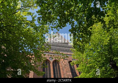 Chiesa di San Nicola, Wismar, Meclemburgo-Pomerania occidentale, Germania Foto Stock