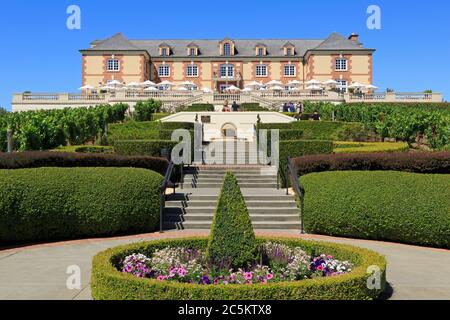 Azienda vinicola Domain Carneros, Carneros Valley, Napa County, California, Stati Uniti Foto Stock