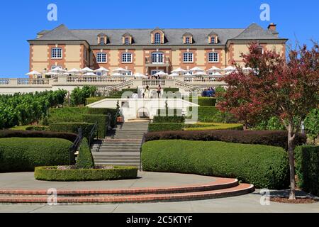 Azienda vinicola Domain Carneros, Carneros Valley, Napa County, California, Stati Uniti Foto Stock