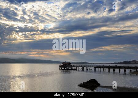 Molo di Nick's Cove a Tomales Bay, California, Stati Uniti Foto Stock