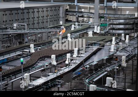 Amburgo, Germania. 18 Giugno 2020. Un ingegnere di processo nel controllo di qualità controlla le bottiglie di birra su un nastro trasportatore nell'impianto di imbottigliamento presso lo stabilimento di produzione della Holsten Brewery nel distretto di Hausbruch ad Amburgo. (A dpa 'Holsten-Brauerei ben arrivato a Hausbruch nonostante la crisi di Corona') Credit: Christian Charisius/dpa/Alamy Live News Foto Stock