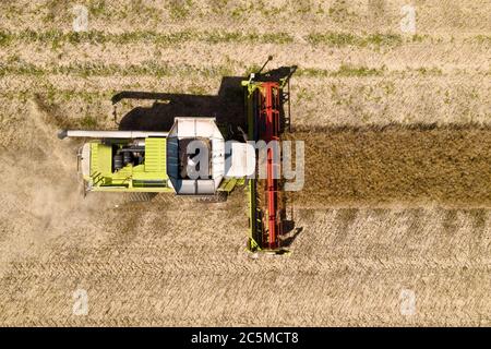 vista aerea del drone di una mietitrebbia che lavora in un campo Foto Stock