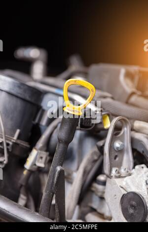 Asta Di Livello Olio Motore In ABS Per Renault: Laguna, Scenic, Megane, Clio (1.5 DCI, 1.9 DTI/DCI), Cod. 8200059541