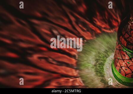 luce che passa attraverso una bottiglia con arte colorata Foto Stock