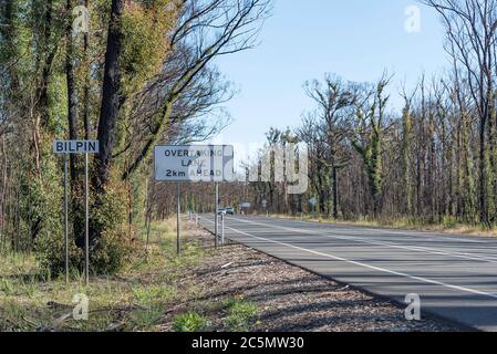 Giugno 2020: Segni di ricrescita e recupero dai devastanti incendi boschivi sulla linea di Bells Road vicino Bilpin Vedi le mie immagini comparative Gennaio 2020 Foto Stock