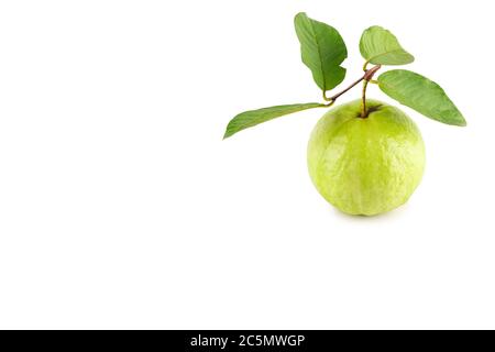 guava fresca e foglia verde di guava su sfondo bianco frutta agricoltura cibo isolato Foto Stock