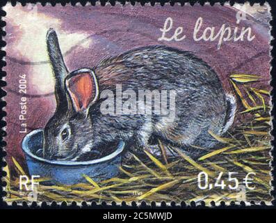 Timbre oblitéré le Lapin. La Poste. 2004. RF. 0,45 € Foto Stock