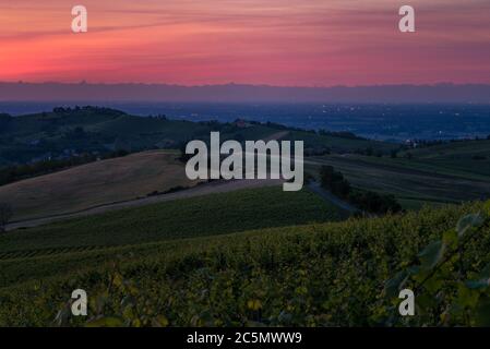 Incredibile tramonto rosso e viola sulle colline Pavese di Oltrepo con vigneti e strade di campagna Foto Stock