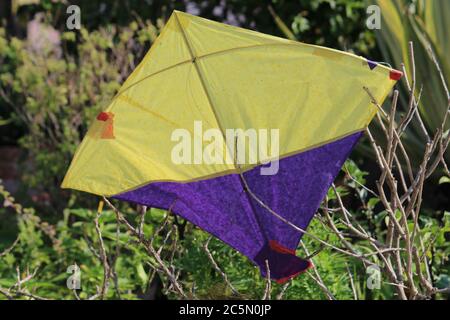 Colorato aquilone atterrato con vista parziale sotto la luce del giorno. Foto Stock