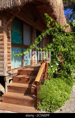 Portico in legno con scalini decorati con piante verdi Foto Stock