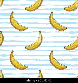 Motivo tropicale senza giunture. Frutti esotici di banana su sfondo blu bianco acquerello strisce. Illustrazione dello schizzo disegnata a mano dal vettore. Design estivo per Illustrazione Vettoriale