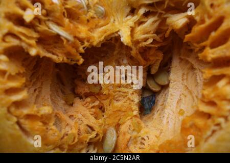 Primo piano di un pezzo tagliato di zucca. Semi di zucca crudi primo piano. Fuoco selettivo su parte del pezzo. Foto Stock