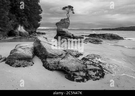 Tinline Bay, vicino a Marahau, Abel Tasman National Park, South Island, Nuova Zelanda Foto Stock