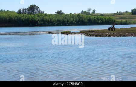 La laguna di fango terapeutico curativo di Nin in Croazia. Spiaggia della Regina, Zara County, Dalmazia, Croazia Foto Stock