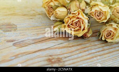 Rose secche su vecchio sfondo di legno. Concetto di fiori morti. La transizione della gioventù e della bellezza Foto Stock