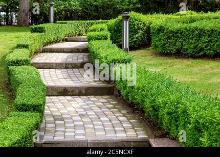 alzati a gradoni da lastre di pavimentazione nel cortile con una siepe di cespugli e lanterne a terra in una giornata estiva soleggiata. Foto Stock