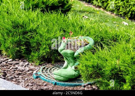 vaso in pietra a forma di scarpa con fiori su un tombino tra cespugli verdi di thuja in pacciame. Foto Stock