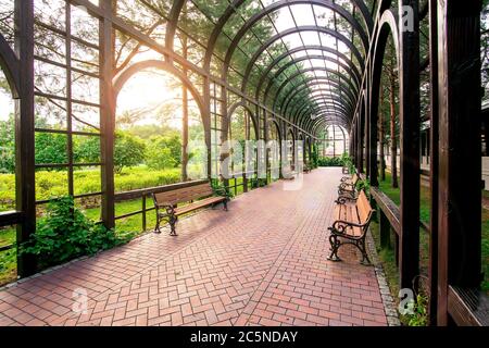 pergola esterna in legno con panchine per rilassarsi con piante e alberi in erba su una luce solare estiva. Foto Stock