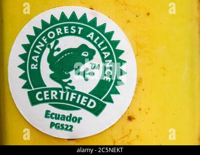 Adesivo certificato Rainforest Alliance sulla banana Foto Stock