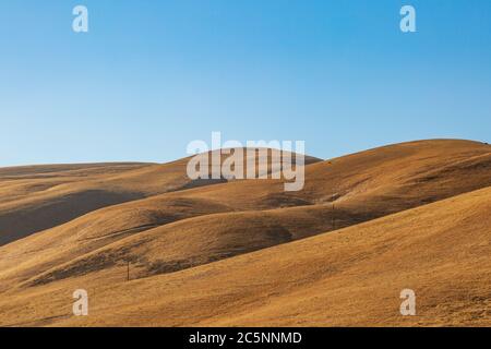 Un paesaggio di prime ore del mattino di colline secche in California, durante una siccità Foto Stock