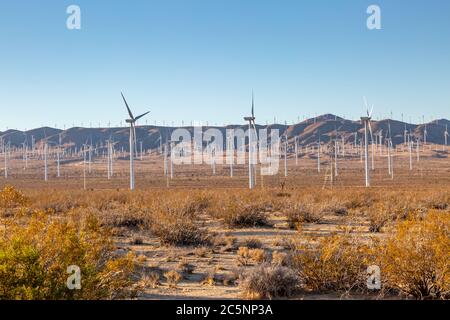 Un'abbondanza di turbine eoliche vicino Mojave in California Foto Stock