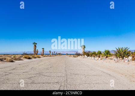 Una strada fiancheggiata da palme nel deserto del Salton Sea, in California Foto Stock