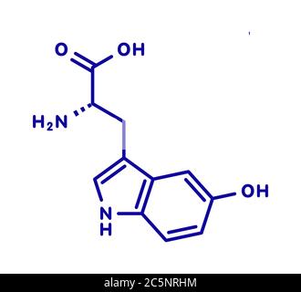 5-idrossitriptofano amminoacido molecola. Formula di scheletro. Foto Stock