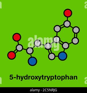 Molecola di amminoacido 5-idrossitriptofano. Formula scheletrica stilizzata (struttura chimica): Gli atomi sono indicati come cerchi codificati per colore: Idrogeno (nascosto), carbonio (grigio), ossigeno (rosso), azoto (blu). Foto Stock
