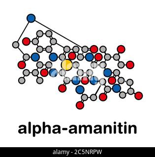 Molecola di tossina della capsula di morte dell'alfa-amanitina. Presente in molti funghi Amanita. Formula scheletrica stilizzata (struttura chimica): Gli atomi sono indicati come cerchi codificati per colore: Idrogeno (nascosto), carbonio (grigio), ossigeno (rosso), azoto (blu), zolfo (giallo). Foto Stock