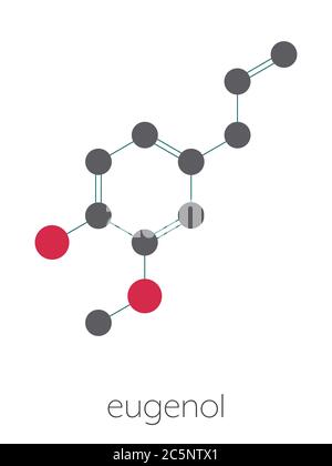 Eugenolo erboristico molecola di olio essenziale. Presente in chiodi di garofano, noce moscata, ecc. formula scheletrica stilizzata (struttura chimica): Gli atomi sono indicati come cerchi codificati per colore: Idrogeno (nascosto), carbonio (grigio), ossigeno (rosso). Foto Stock