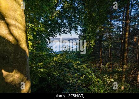 Sul meraviglioso sentiero escursionistico a lunga distanza, Seegang sul Lago di Costanza, Germania Foto Stock