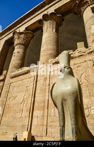 Una statua di falco al tempio di Edfu fu fu dedicata a Horus, il dio egiziano con una testa di falco Foto Stock