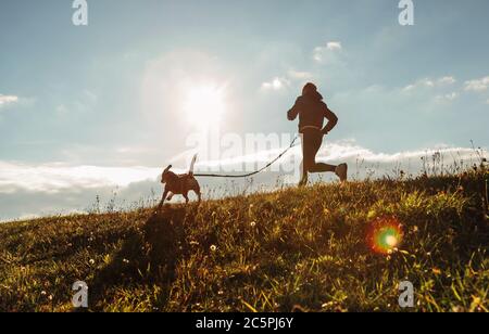 Uomo che runing con il suo cane beagle al mattino soleggiato. Stile di vita sano ed esercizi di canicross jogging immagine concettuale. Foto Stock