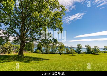 Sul meraviglioso sentiero escursionistico a lunga distanza, Seegang sul Lago di Costanza, Germania Foto Stock