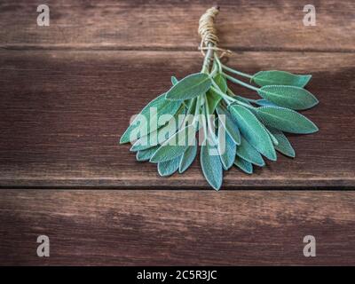 rami di salvia visti dall'alto su tavola rustica di legno Foto Stock